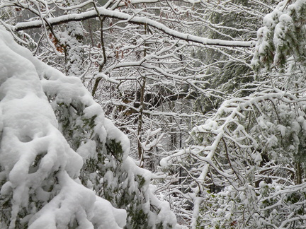 Snow on the Rough Trail